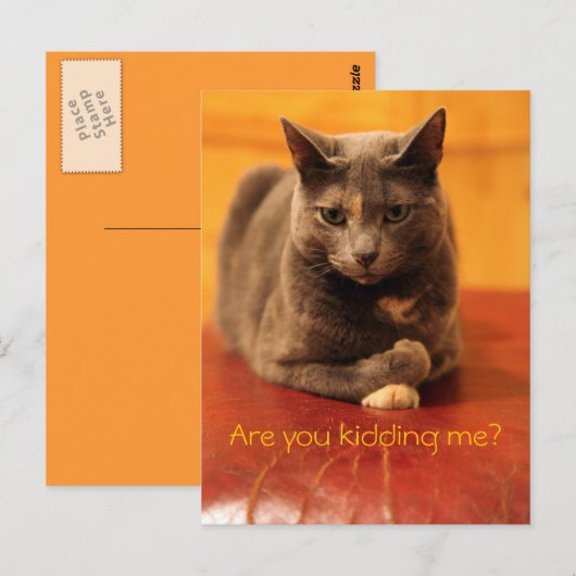 Hou je me voor de gek? briefkaart (Voorkant / Achterkant)