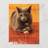 Hou je me voor de gek? briefkaart (Voorkant)