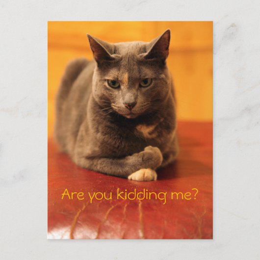 Hou je me voor de gek? briefkaart (Voorkant)