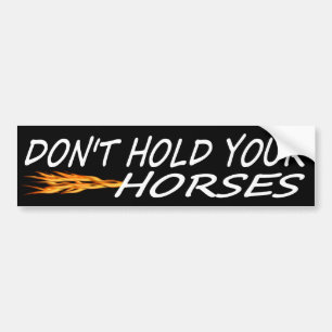 Hou je paarden niet vast bumpersticker