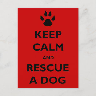 Hou je rustig aan met het redden van honden briefkaart