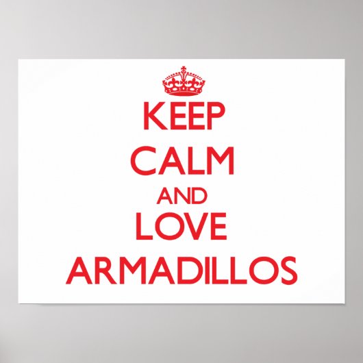 Hou je rustig en hou van Armadillos Poster (Voorkant)