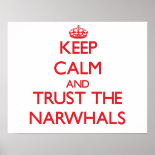 Hou je rustig en vertrouw op de Narwhals Poster