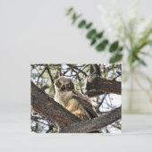 Hou je van mijn ogen? -Briefkaart Briefkaart (Staand voorkant)