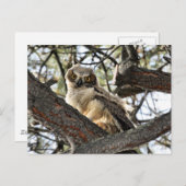 Hou je van mijn ogen? -Briefkaart Briefkaart (Voorkant / Achterkant)