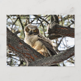 Hou je van mijn ogen? -Briefkaart Briefkaart