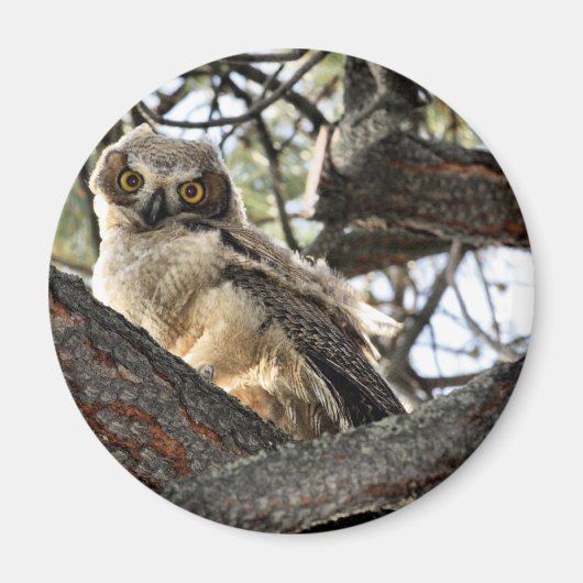 Hou je van mijn ogen? -Magneet Magneet (Voorkant)