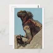 Hou je vast - briefkaart (Voorkant / Achterkant)