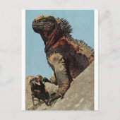 Hou je vast - briefkaart (Voorkant)