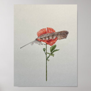 Hou me zachtjes, klaproos poster
