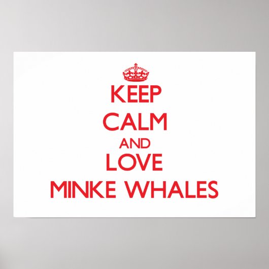Hou rustig en hou van Minke Whales Poster (Voorkant)
