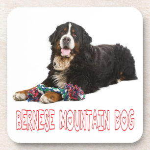 Hou van Berner Sennenhond Puppy Hond Onderzetter S