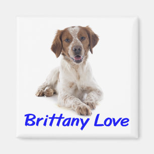 Hou van Brittany Spaniel Puppy Hond Magneet