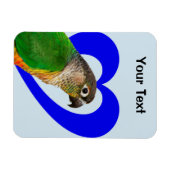 Hou van deze Conure Magnet Magneet (Horizontaal)