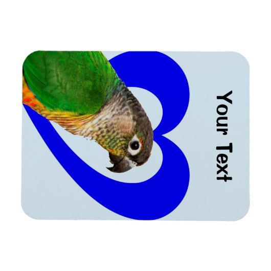 Hou van deze Conure Magnet Magneet (Horizontaal)