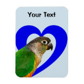 Hou van deze Conure Magnet Magneet (Verticaal)