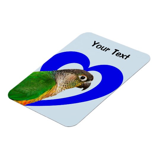 Hou van deze Conure Magnet Magneet (Linkerzijde)