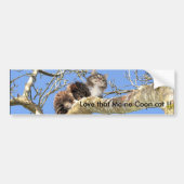 Hou van die Maine Coon kat! Bumpersticker (Voorkant)