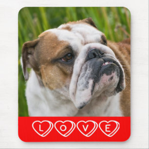 Hou van Engelse Bulldog Puppy Honden Muismat
