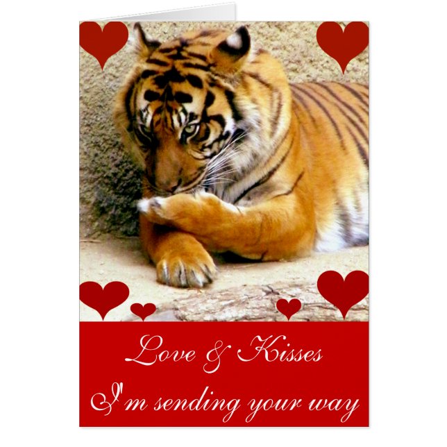 Hou van je_ (Voorkant)