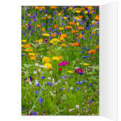 Hou van je (Binnen (Links))