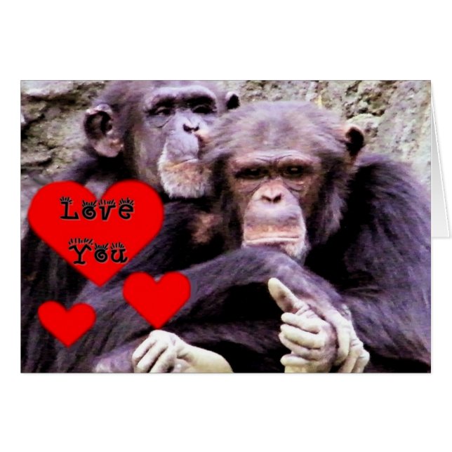 Hou van je_ (Voorkant Horizontaal)