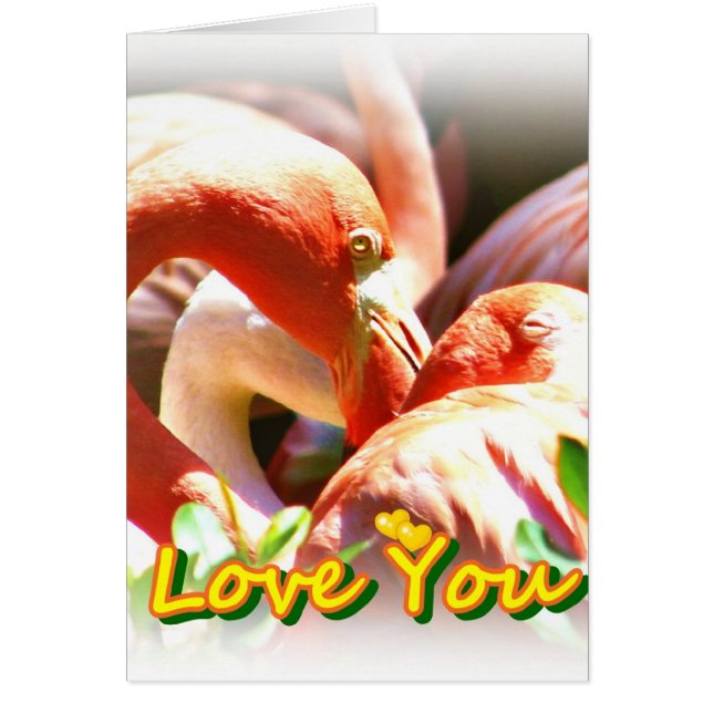 Hou van je_ (Voorkant)