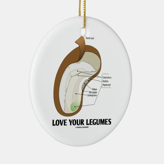 Hou van je benen (Bean Dicotyledon) Keramisch Ornament (Rechts)