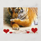 Hou van je_ briefkaart (Voorkant)