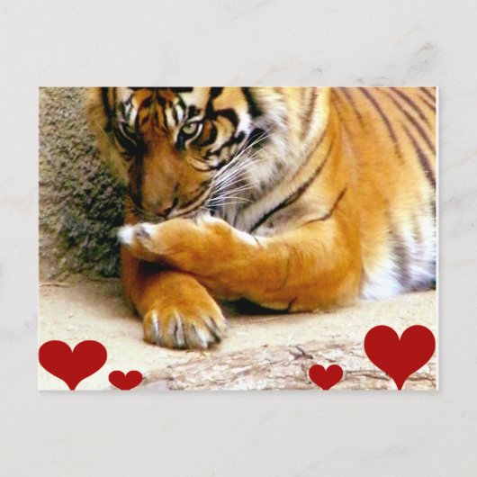 Hou van je_ briefkaart (Voorkant)