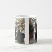 Hou van je kat met hun behandelingen koffiemok (Center)