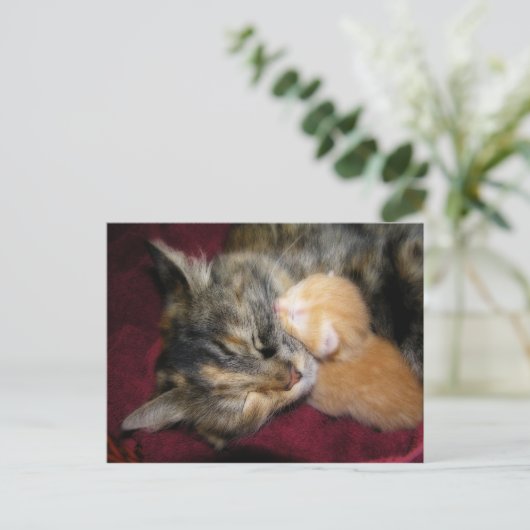 Hou van je moeder briefkaart (Staand voorkant)