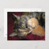 Hou van je moeder briefkaart (Voorkant / Achterkant)