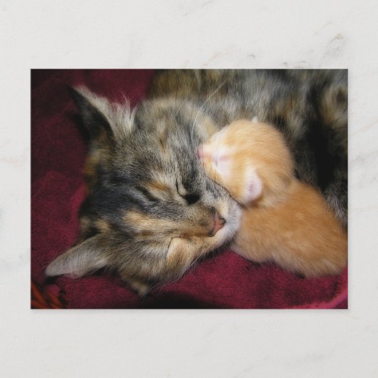 Hou van je moeder briefkaart (Voorkant)