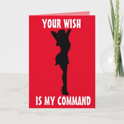 HOU VAN JE OM HEM ONDEUGENDE KAARTEN TE ECHTGENOOT (Voorkant)