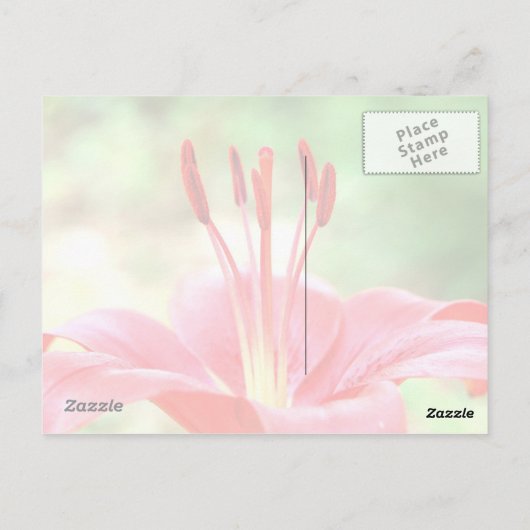 Hou van Lily Briefkaart (Achterkant)