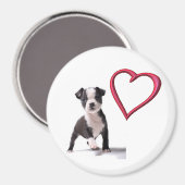Hou van mijn Boston puppy hondenmagneet Magneet (Voorkant / Achterkant)