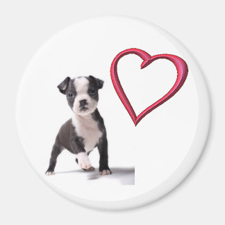 Hou van mijn Boston puppy hondenmagneet Magneet