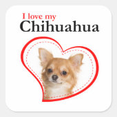 Hou van mijn Chihuahua Stickers (Voorkant)