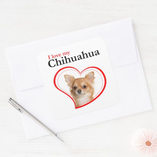 Hou van mijn Chihuahua Stickers (Envelop)