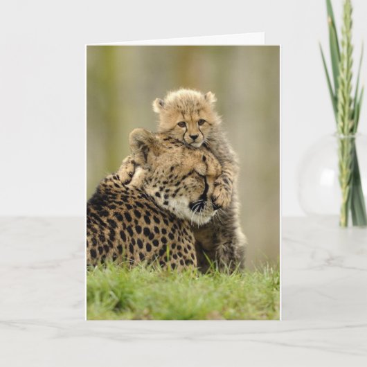 Hou van mijn mama feestdagen kaart (Voorkant)