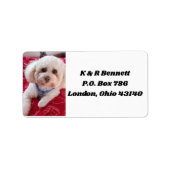 Hou van mijn poedel Adresetiketten Etiket (Voorkant)