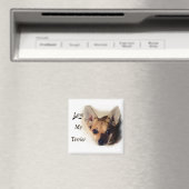 Hou van mijn terriër magneet (Insitu (Vaatwasser))