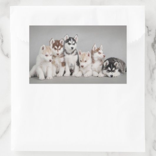 Hou van Siberische Huskies Rechthoekige Sticker (Tas)