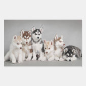 Hou van Siberische Huskies Rechthoekige Sticker (Voorkant)