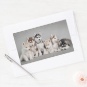 Hou van Siberische Huskies Rechthoekige Sticker (Envelop)