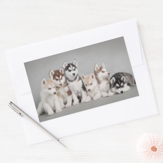 Hou van Siberische Huskies Rechthoekige Sticker (Envelop)