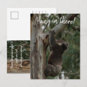 Hou vol. Australia Koala Cute Briefkaart (Voorkant / Achterkant)