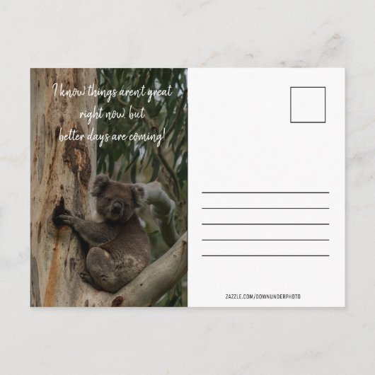Hou vol. Australia Koala Cute Briefkaart (Achterkant)