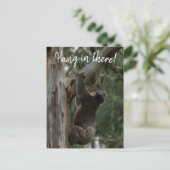 Hou vol. Australia Koala Cute Briefkaart (Staand voorkant)